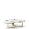 Tables and console tables - Demetra coffee table in Dalmata marble and horn - still life - Arcahorn (7)