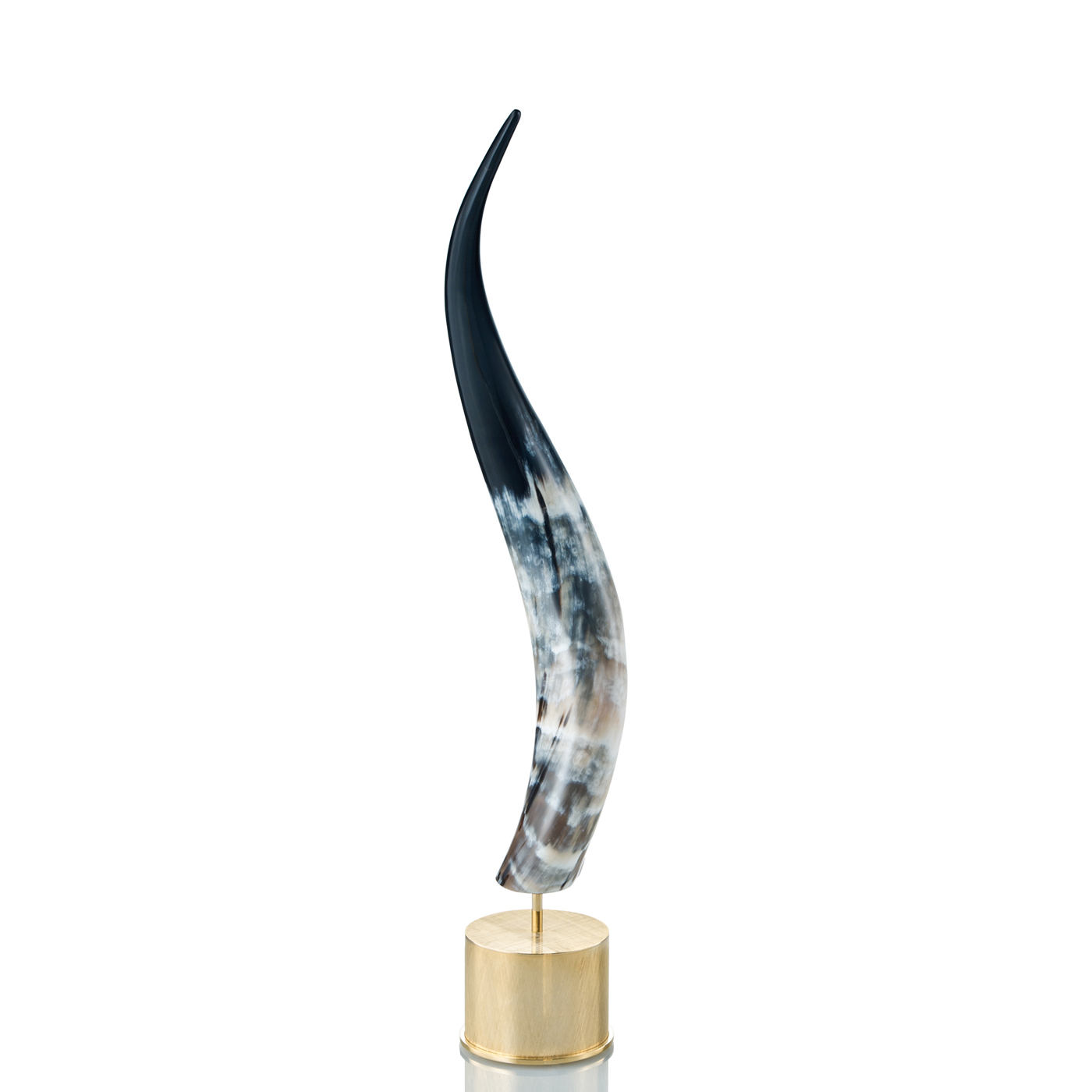 Sculptures - Auriga sculpture in horn and hand engraved 24k gold plated brass - Arcahorn