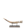 Sculptures - Cassiopea horizontal sculpture in horn and black oak veneer - Arcahorn