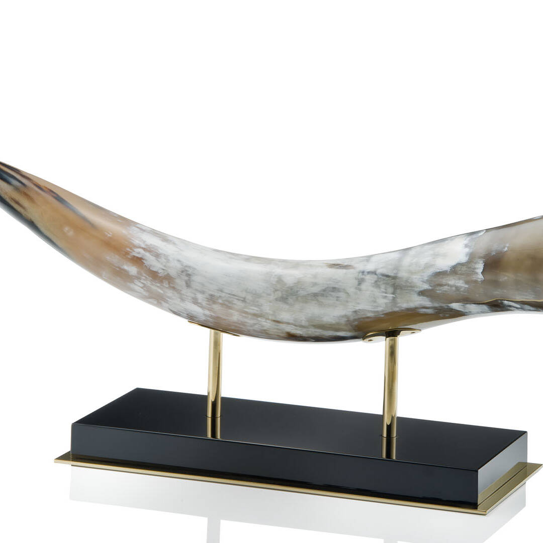 Sculptures - Cigno horizontal sculpture in horn and glossy black lacquered wood - cover - Arcahorn