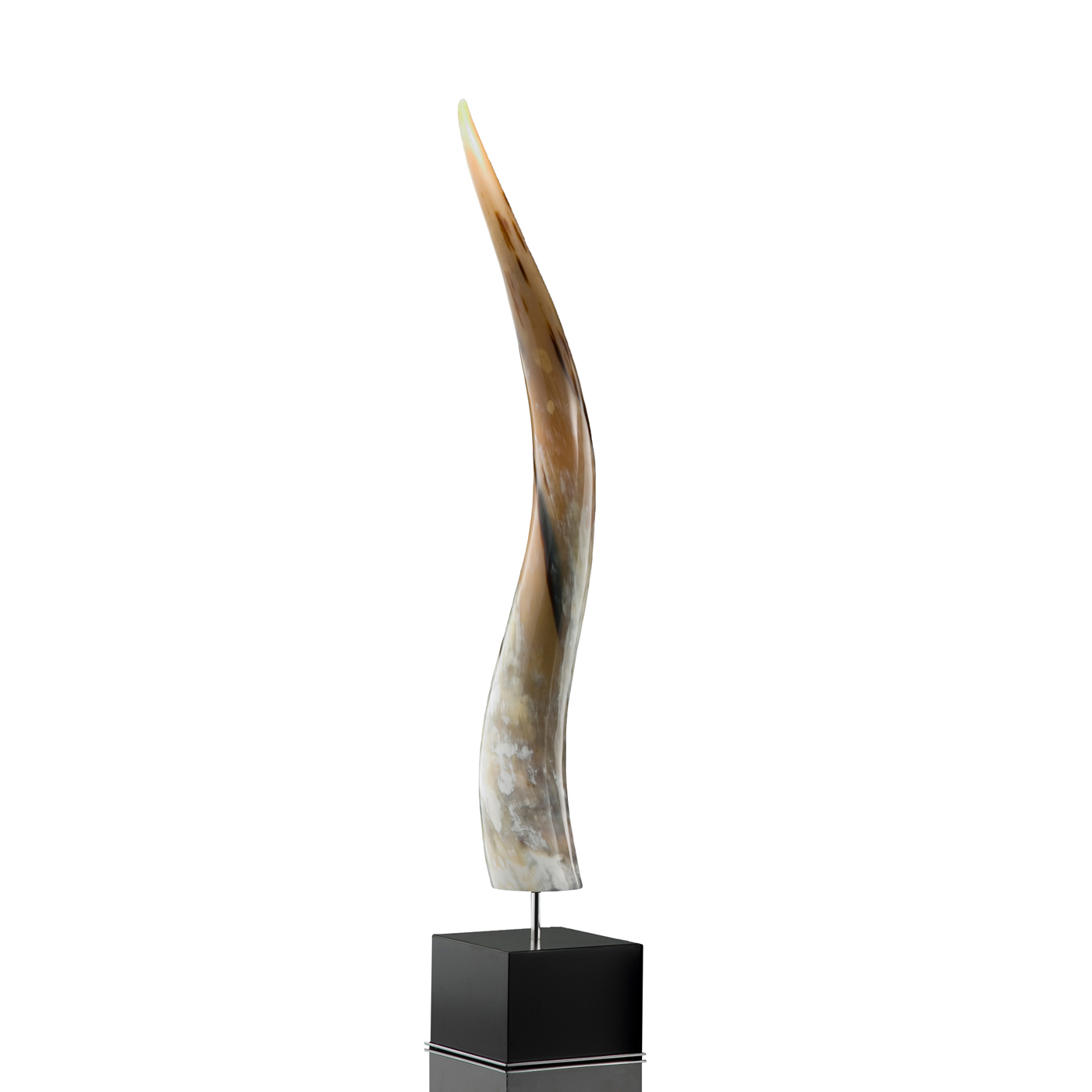Sculptures - Leuca sculpture in horn and glossy black lacquered wood - Arcahorn