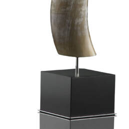 Sculptures - Leuca sculpture in horn and glossy black lacquered wood - detail - Arcahorn
