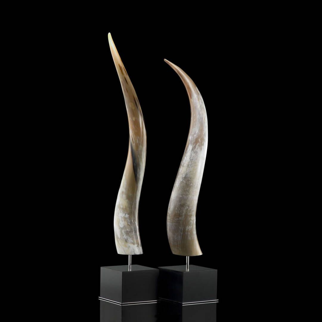 Sculptures - Leuca sculpture in horn and glossy black lacquered wood - cover - Arcahorn