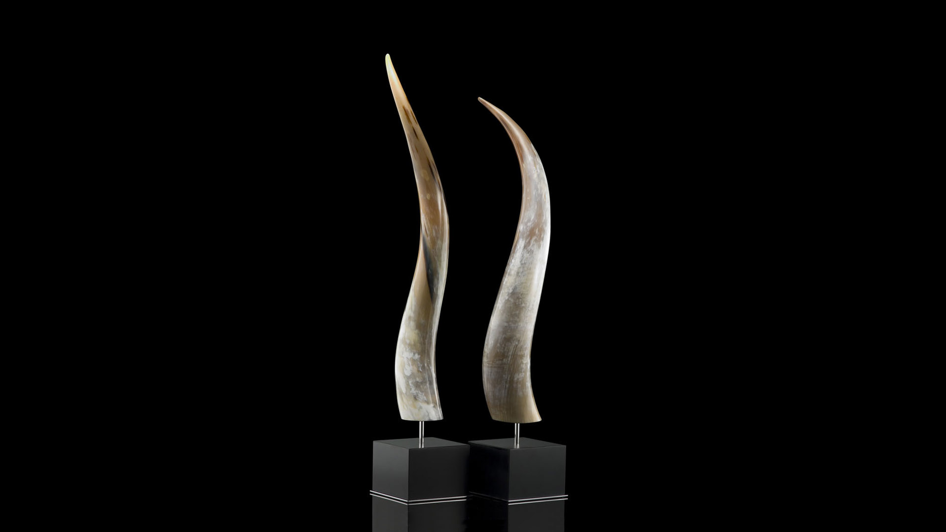 Sculture - Leuca scultura in corno e legno laccato nero - copertina - Arcahorn